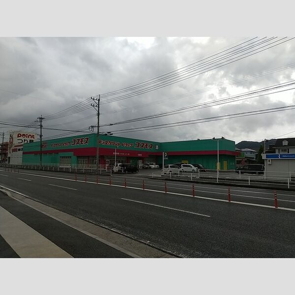 現地周辺 (ディスカウントドラッグストアコスモス与原店　620m)