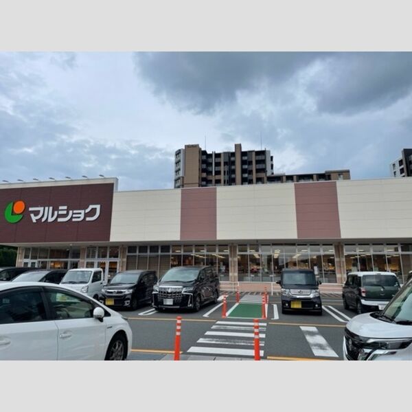現地周辺 (マルショク 新守恒店 436m)