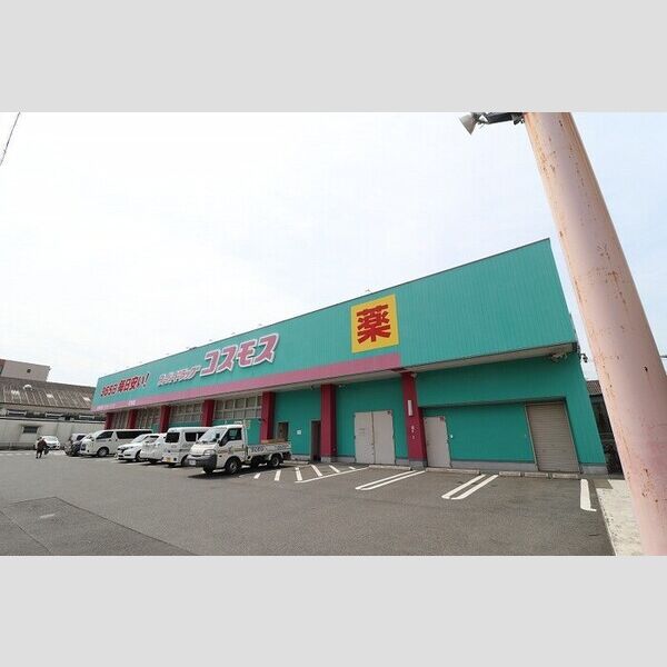 現地周辺 (コスモス 紅梅店まで550m)