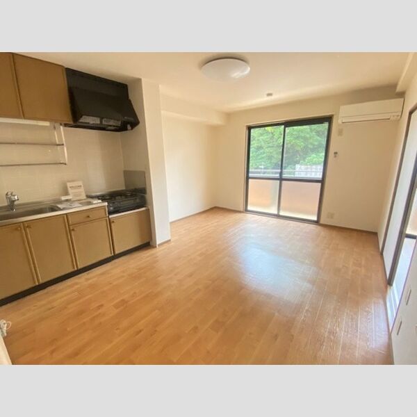 居室・リビング (205　LDK)