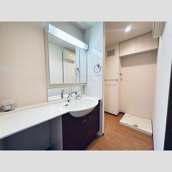 その他 (洗面化粧台)