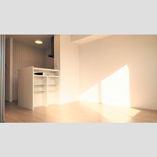 居室・リビング (103　LDK)