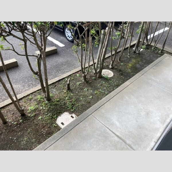 その他 (105 専用庭)