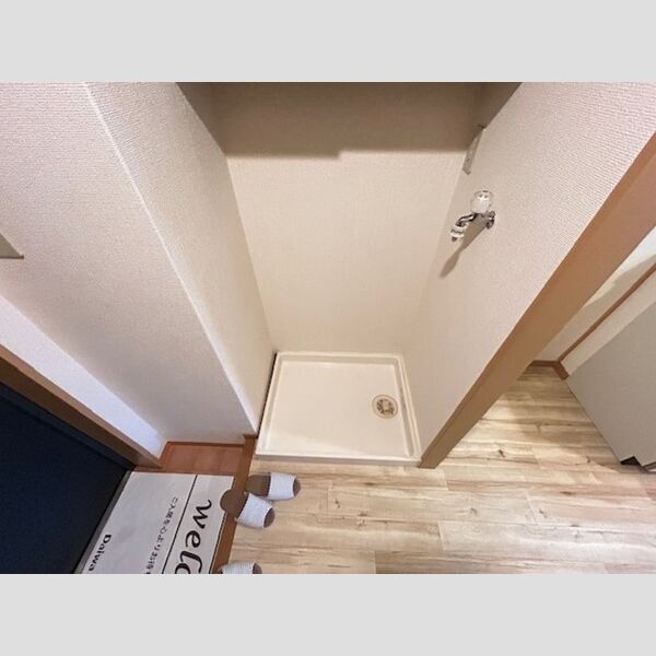 その他 (室内洗濯機置場)