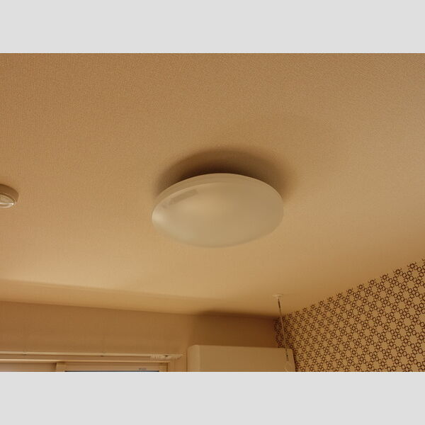 その他 (B305　照明)