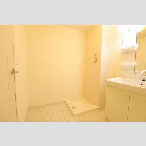 その他 (コンフォールパピヨン205脱衣所)