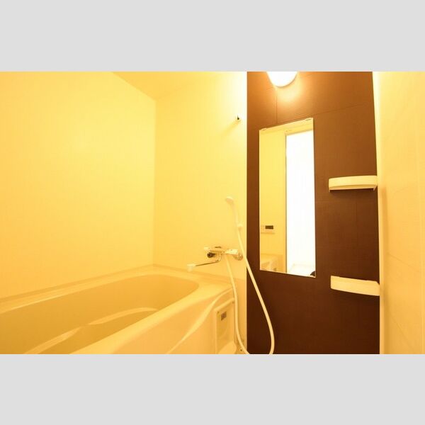 バス (コンフォールパピヨン205バス)