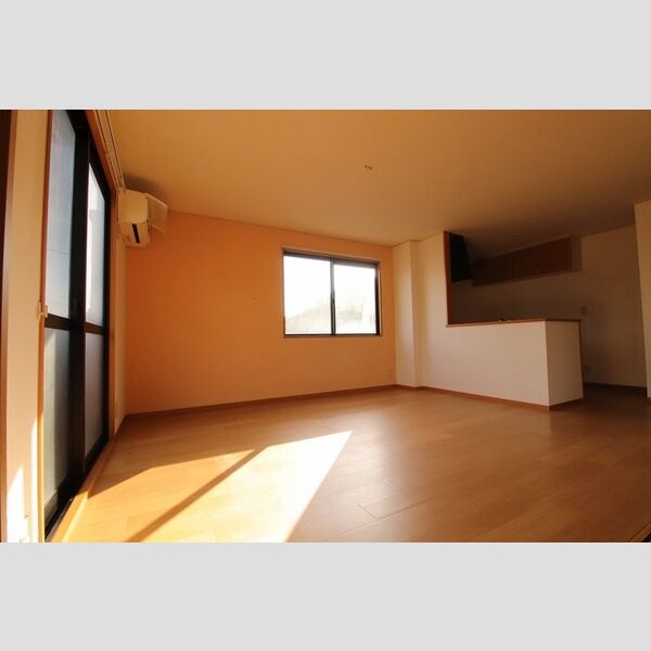 居室・リビング (102　LDK)