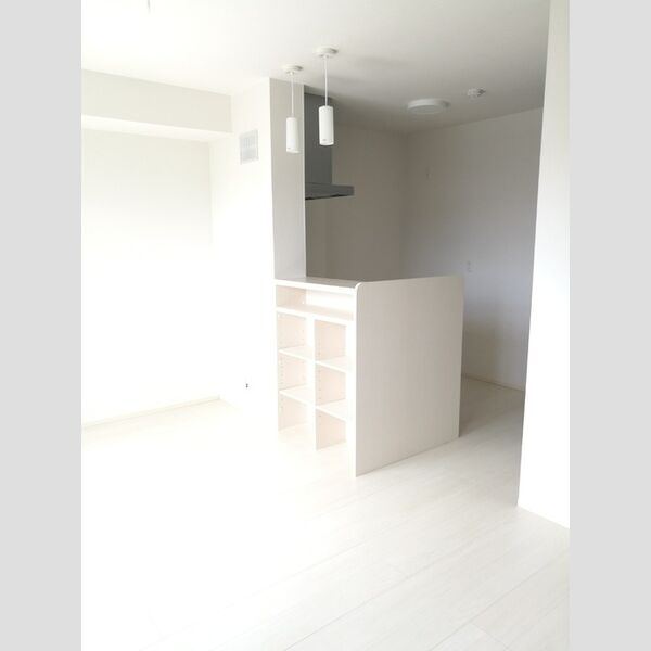 その他 (101　LDK)