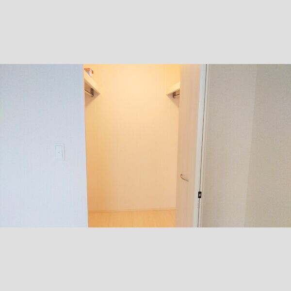 収納 (A202　ウォークインクローゼット)