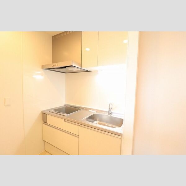 キッチン (D202　キッチン)