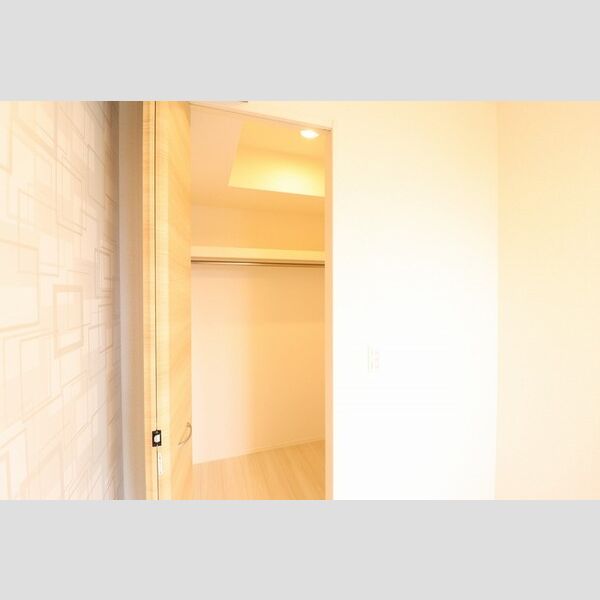 収納 (D202　ウォークインクローゼット)