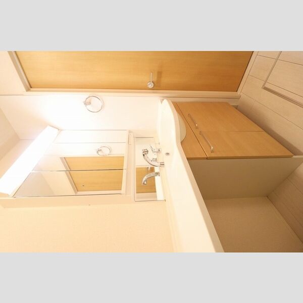 洗面所 (205　洗髪洗面化粧台)