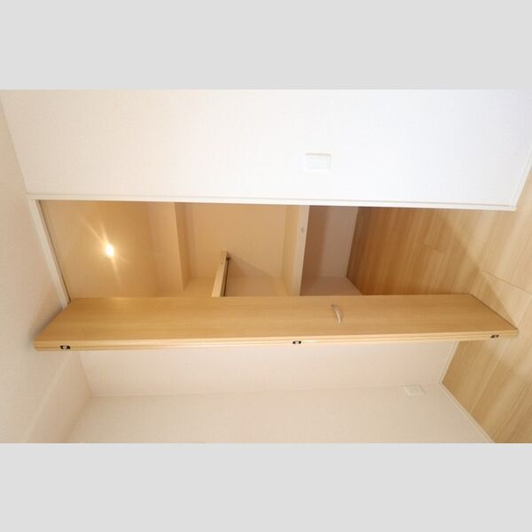 収納 (205　ウォークインクローゼット)