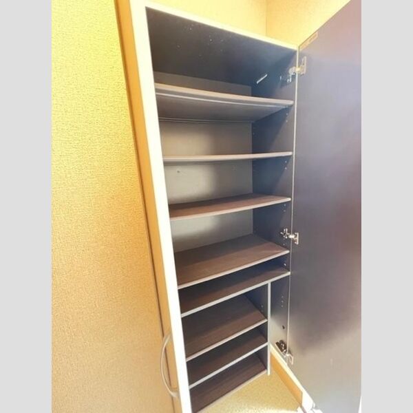 玄関 (サニーヒルズ迫田　205　シューズボックス)