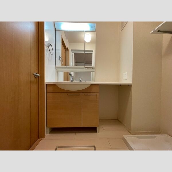 洗面所 (205　洗面化粧台)