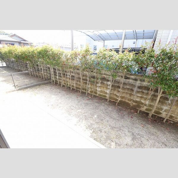 その他 (C201　専用庭)