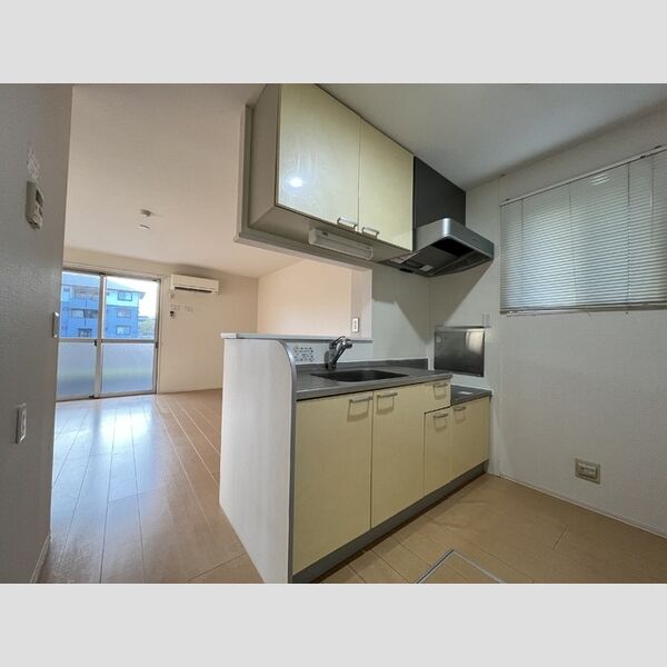 キッチン (B105　対面キッチン)