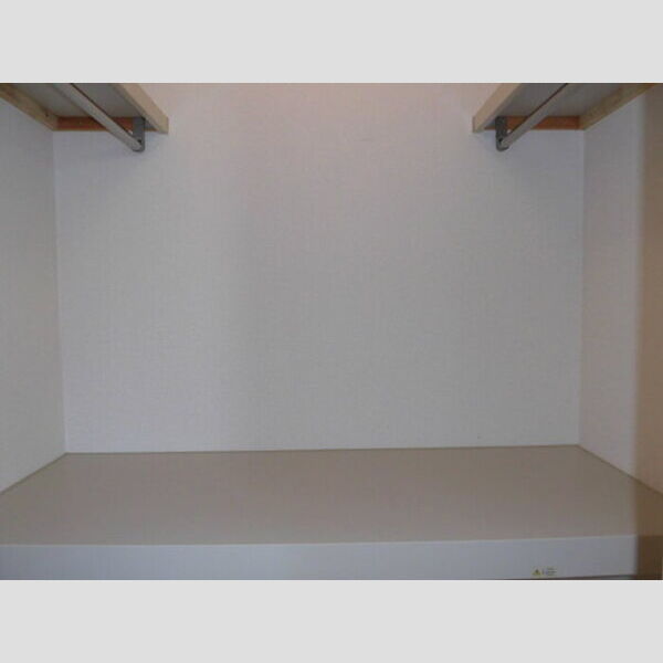 収納 (クローゼット　101)