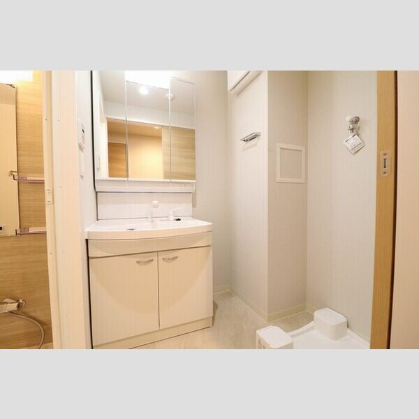 洗面所 (洗面所)