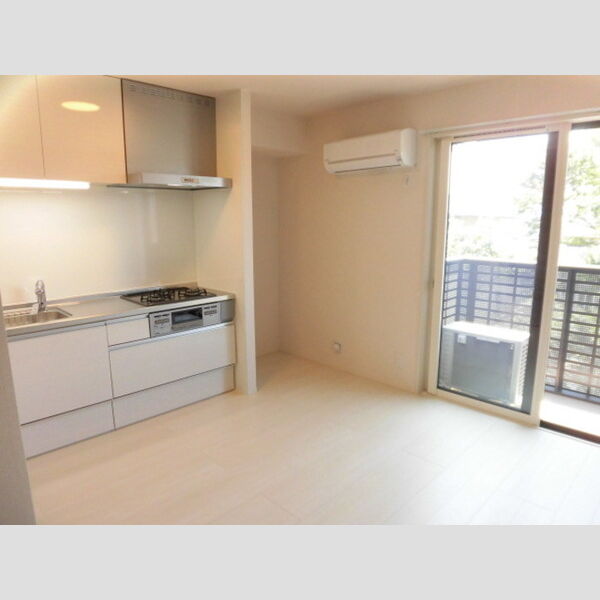 居室・リビング (207　LDK)