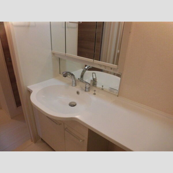 洗面所 (207　洗髪洗面化粧台)