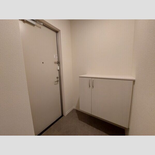 玄関 (シューズボックス)