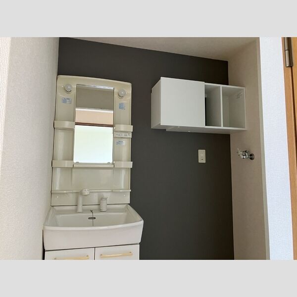 その他 (洗髪洗面化粧台)