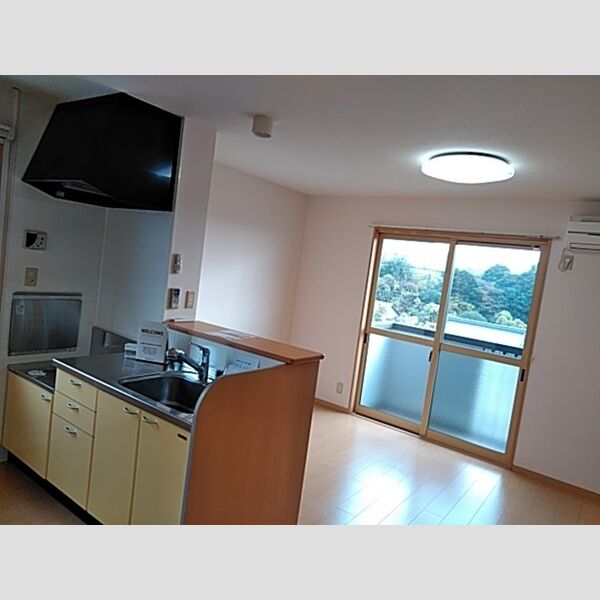 居室・リビング (202　LDK)