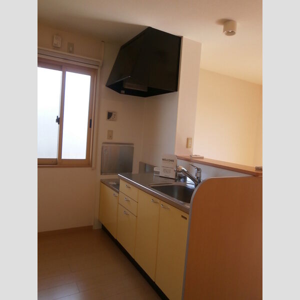 キッチン (202　対面キッチン)