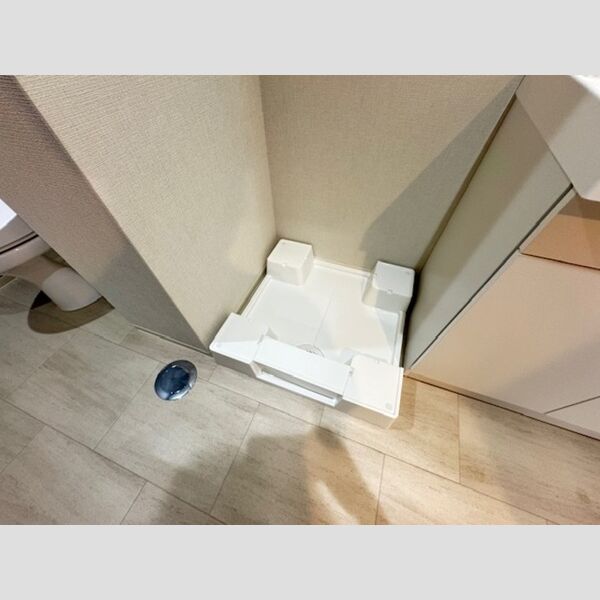 その他 (室内洗濯機置場)