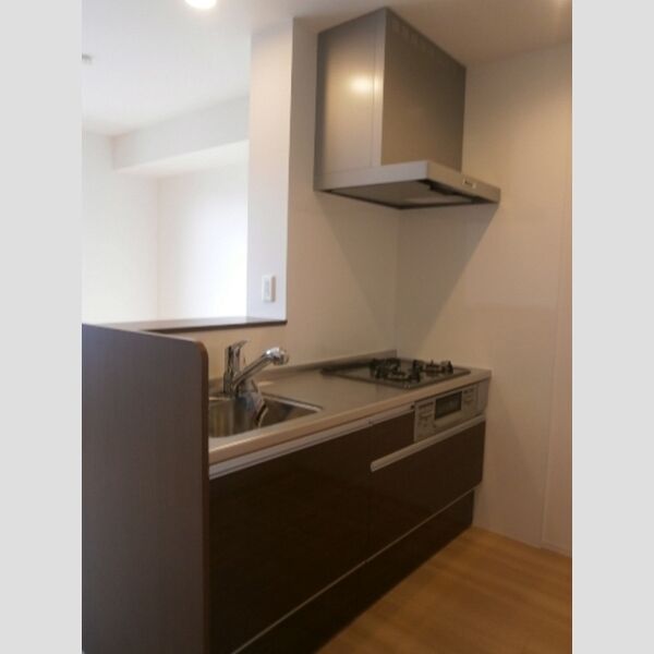 キッチン (202　対面キッチン)