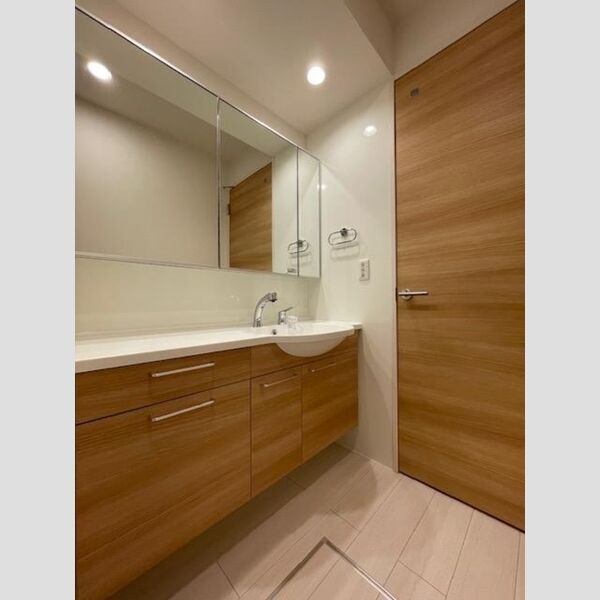 洗面所 (101　洗髪洗面化粧台)