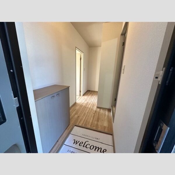 玄関 (シューズボックス)