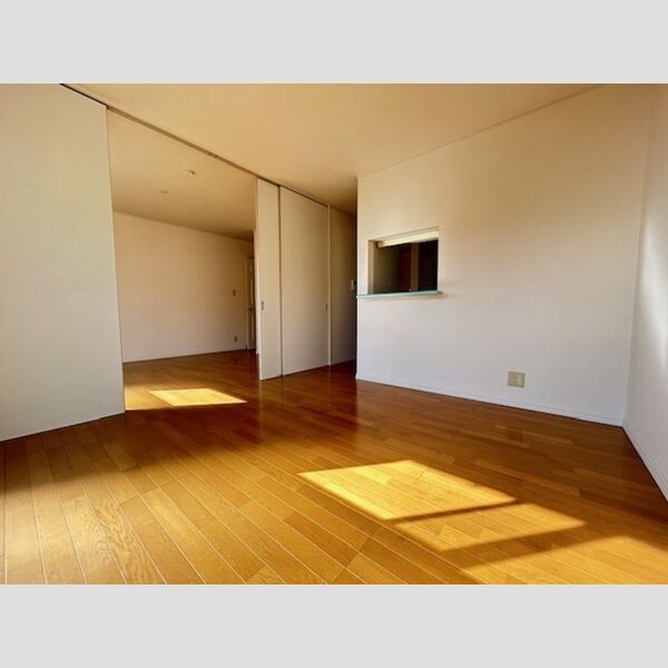 居室・リビング (202　LDK)