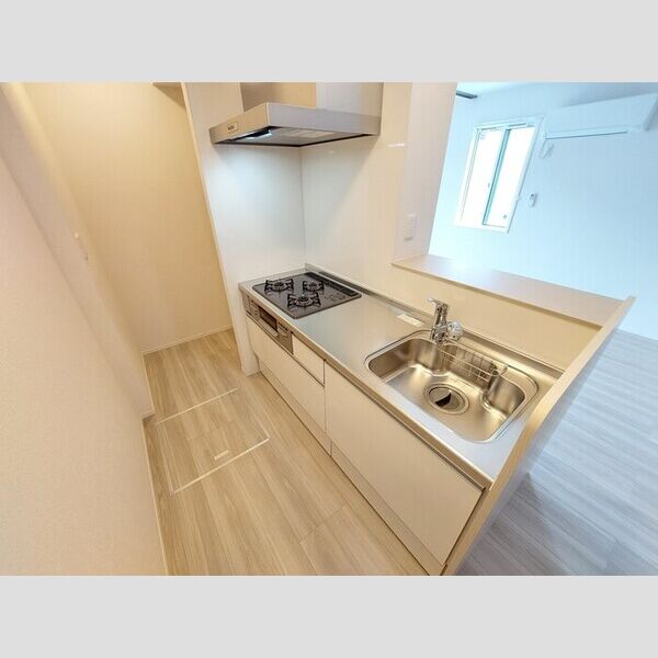 キッチン (Dルーム下富野　102　キッチン)