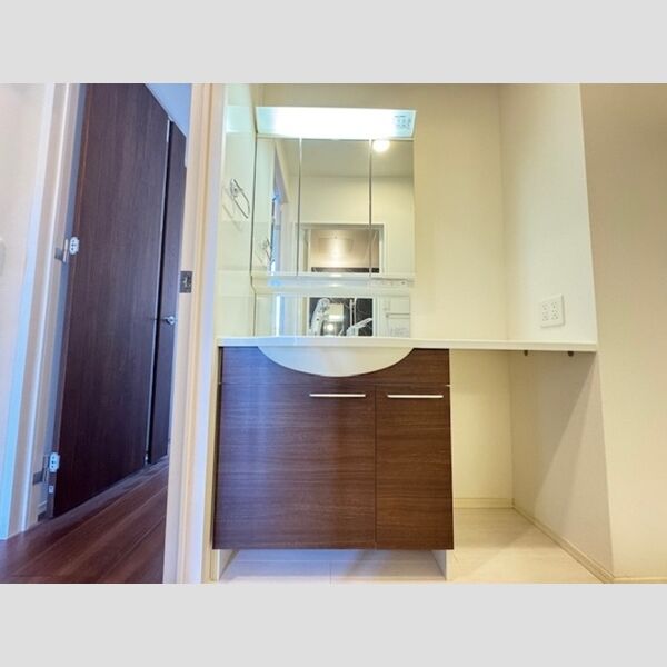 その他 (洗髪洗面化粧台)