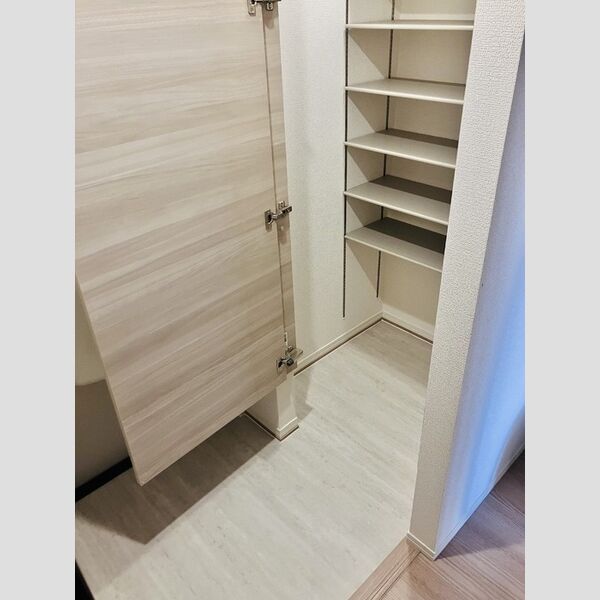 玄関 (206　シューズクローゼット)