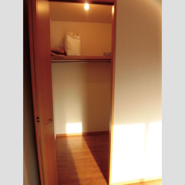 収納 (ウォークインクローゼット)