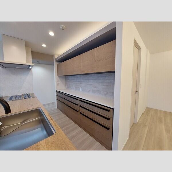 その他 (キッチン収納)