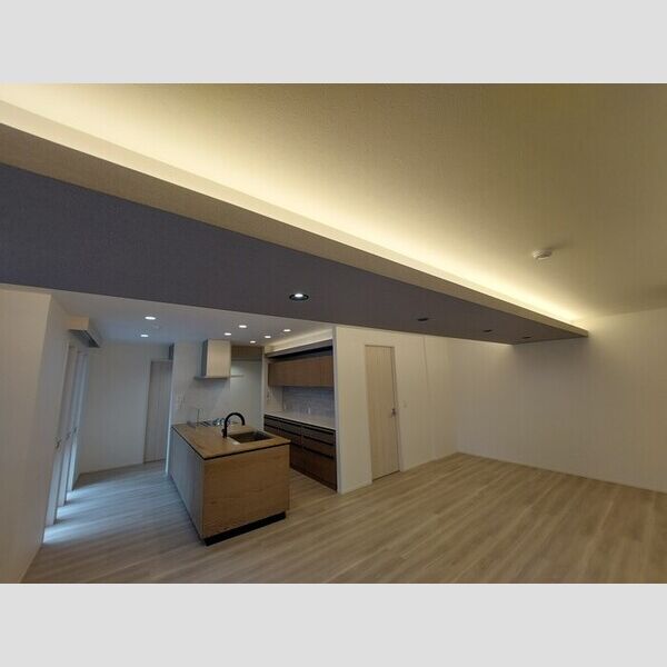 その他 (ライト)