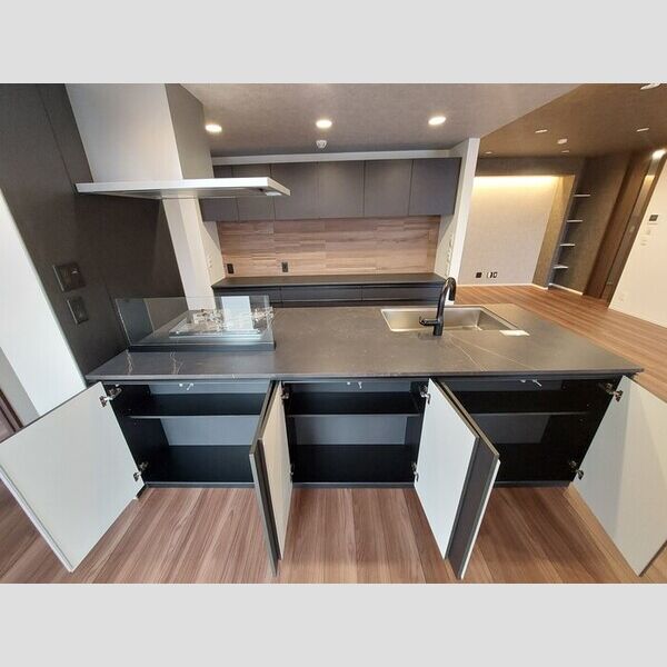 その他 (キッチン収納)