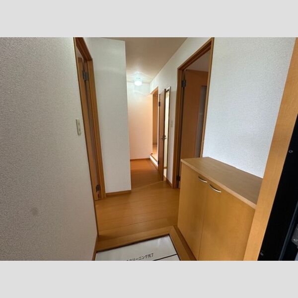 玄関 (シューズボックス)