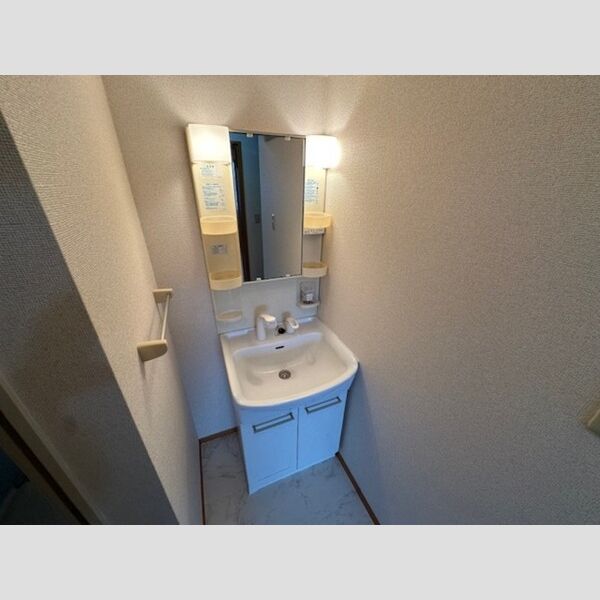 洗面所 (洗髪洗面化粧台)