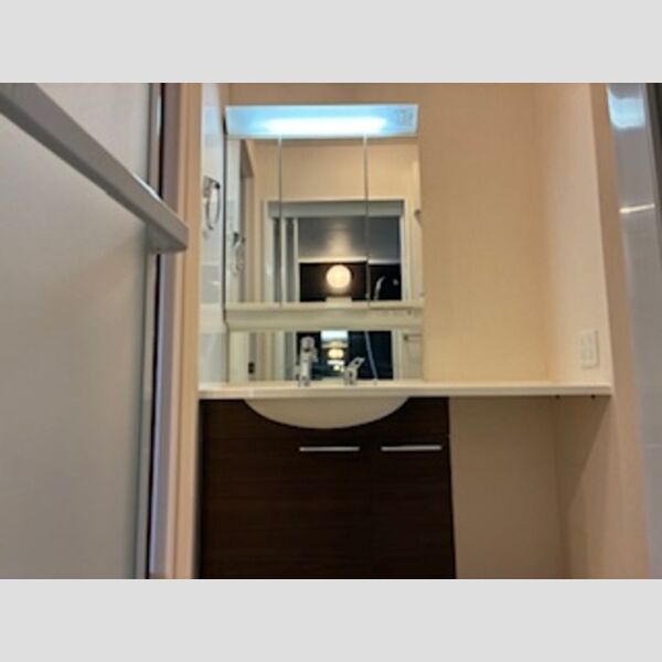 洗面所 (201　洗髪洗面化粧台)