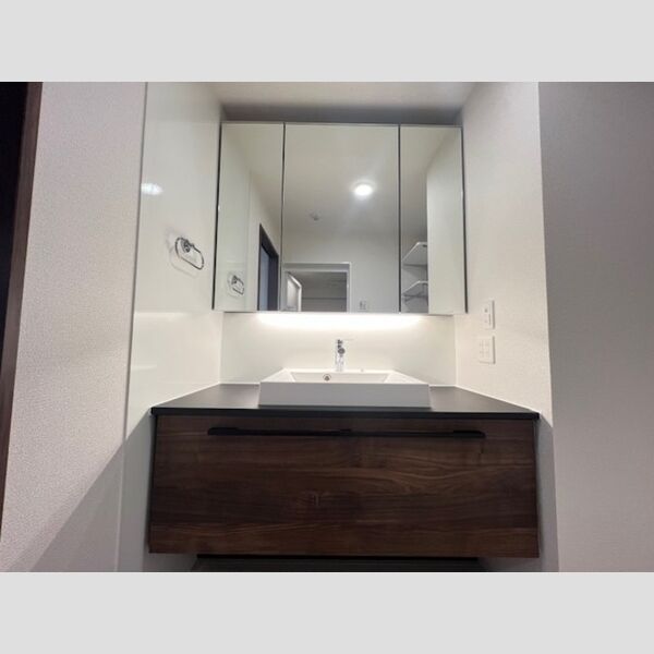 その他 (洗髪洗面化粧台)