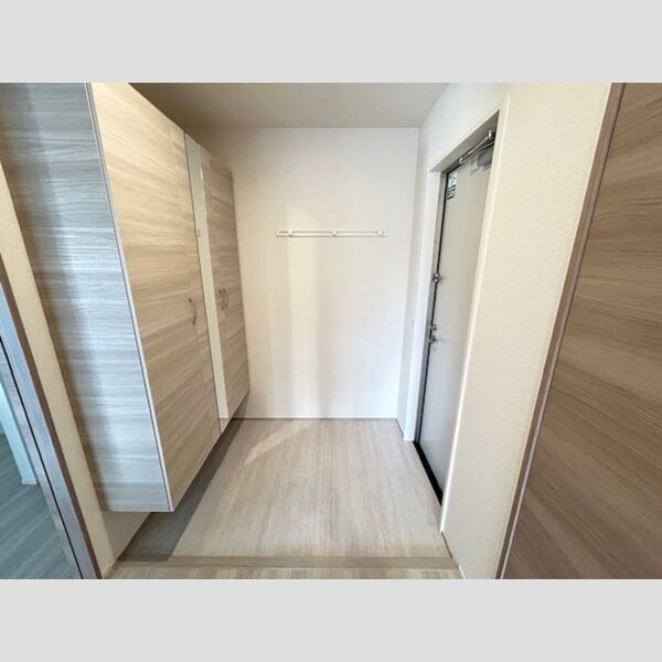 その他 (シューズボックス(トールタイプ))