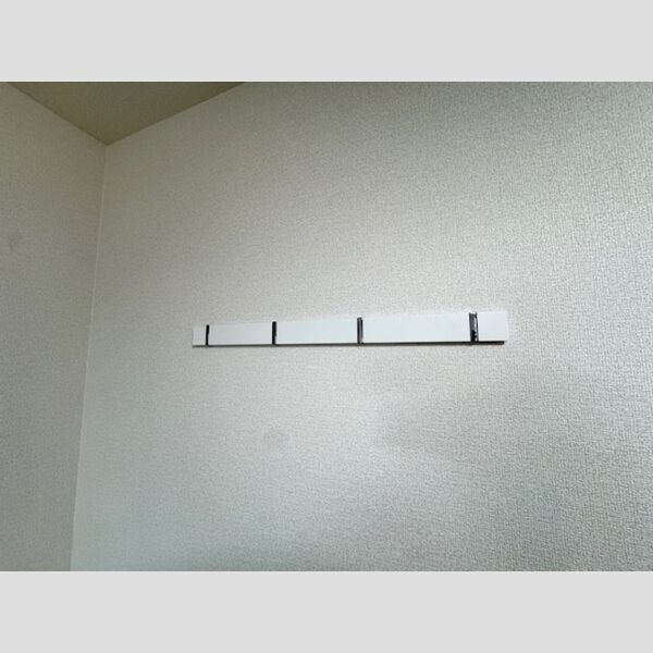 その他 (ハングバー)