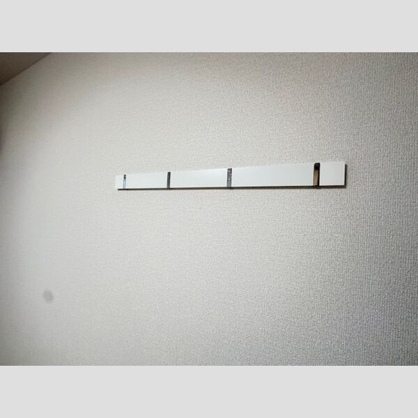 その他 (ハングバー)