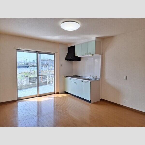 居室・リビング (LDK、照明器具付き)